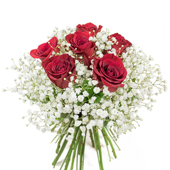 Graced with classic elegance, this bouquet from Reading's local floral experts features six deep crimson roses, their petals luxuriously soft and unfurling gently, almost glowing against a misty cloud of white baby's breath. The gypsophila clusters give the arrangement a dreamy, weightless quality, their petite blooms providing a delicate counterpoint to the resolute red at the bouquet's core. Fresh, vibrant green stems peek out below, bundled carefully-a hallmark of recent hand-tying, as one might find strolling past Reading Market or a familiar florist near Forbury Gardens. The interplay of passionate red and pure white is striking yet harmonious, like a well-rehearsed symphony performed for an intimate gathering. Your senses are drawn to the subtle sweetness of the roses and the cool freshness of the greenery, creating a bouquet that feels both luxurious and personal. Whether chosen for Valentine's Day, a milestone anniversary, or an impromptu show of affection within Reading, this arrangement transforms everyday moments into treasured memories through the power of expert floral design.